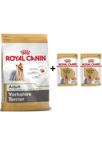 Yorkshire Terrier Köpek Maması 1,5 Kg + 2'Li Yaş Mama