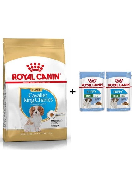 Cavalier Kingr Charles Yavru Köpek Maması 1,5 Kg + 2'Li Yaş Mama