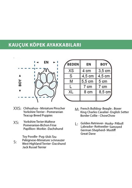 Alphadogr Lacivert Köpek graloşu 6'Lı