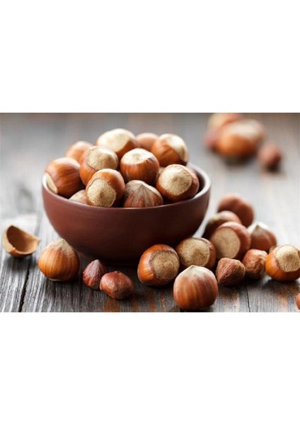 Eko Hazelle Kakaolu Fındık Kreması 400G