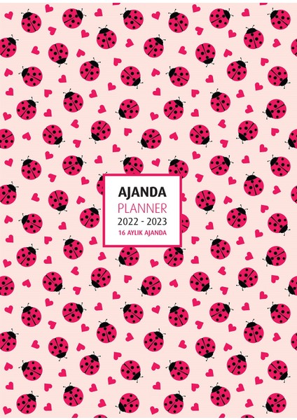 Ladybugs 2022-2023 16 Aylık Ajanda