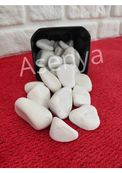 Beyaz Dolomit Taş 25 kg 2,5-4 cm Dere Çakıl Taşı Bahçe Süs Taşı Saksı Teraryum Taşı Akvaryum Taşı