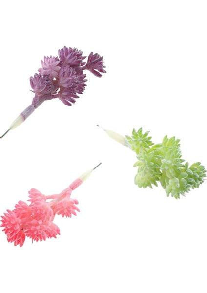 3kinds Simülasyon Etli Edelweiss Dekor Dıy