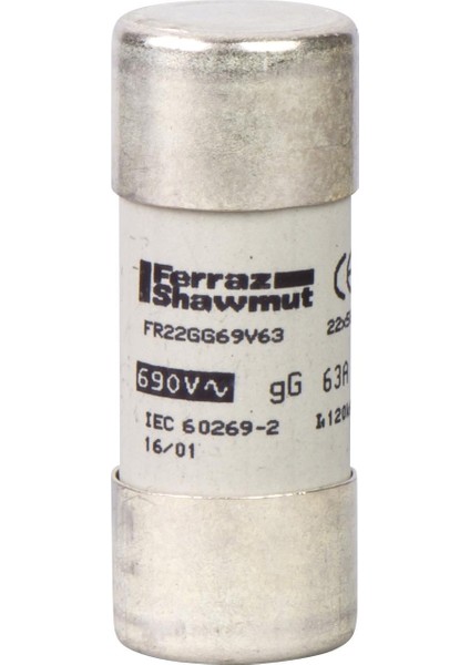 Schneider,kartus Sıgorta 100A 22X58,DF2FN100