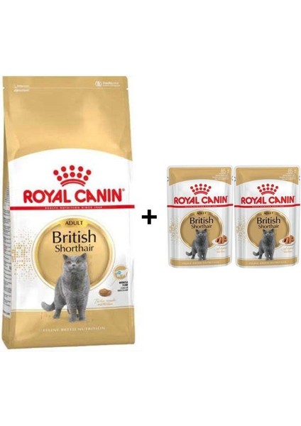 British Shorthair Yetişkin Kedi Maması 2 kg + 2 Adet Yaş Mama Hediye