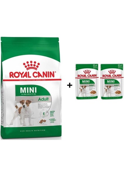Mini Adult Köpek Maması 4 kg + 2 Adet Yaş Mama Hediye