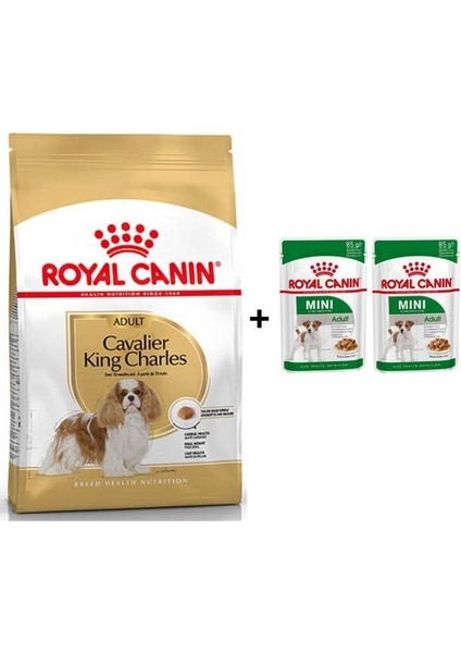 Cavalier King Charles Yetişkin Köpek Maması 3 kg + 2 Adet Yaş Mama Hediye