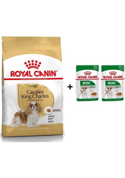 Cavalier King Charles Yetişkin Köpek Maması 1,5 kg + 2 Adet Yaş Mama Hediye