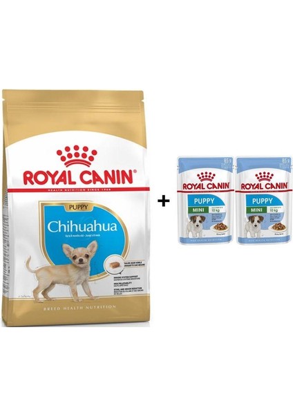 Chihuahua Junior Yavru Köpek Maması 1,5 kg + 2 Adet Yaş Mama Hediye