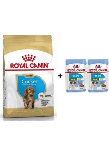 Cocker Junior Yavru Köpek Maması 3 kg + 2 Adet Yaş Mama Hediye