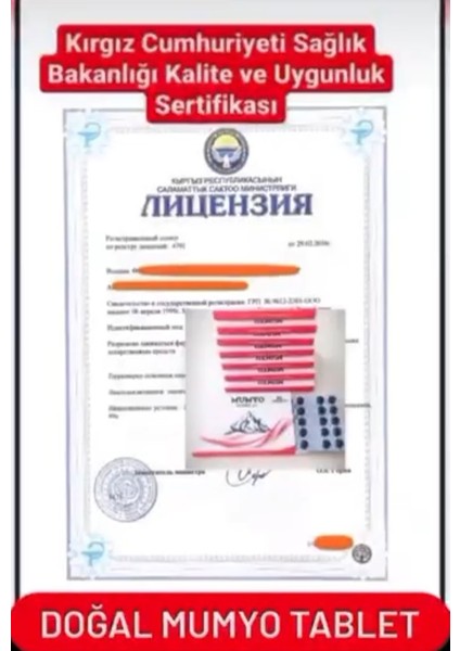 Doğal Bitkisel Multivitamin(Dağların Gözyaşı Vitamin ve Mineral Oluşumu)30 Tablet indirimleri