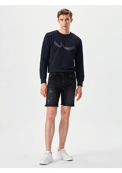 Danısay Erkek Bisiklet Yaka Logo Sweatshirt Lacivert fırsatları