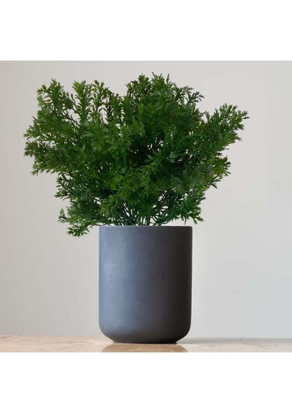 36 cm Yapay Plastik Bitki (Yurt Dışından) fiyatları