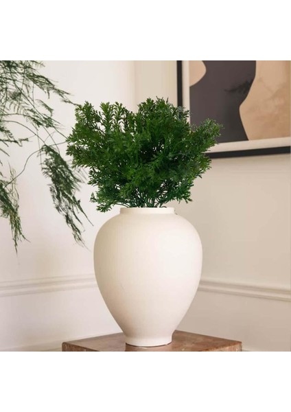 36 cm Yapay Plastik Bitki (Yurt Dışından) fırsatları