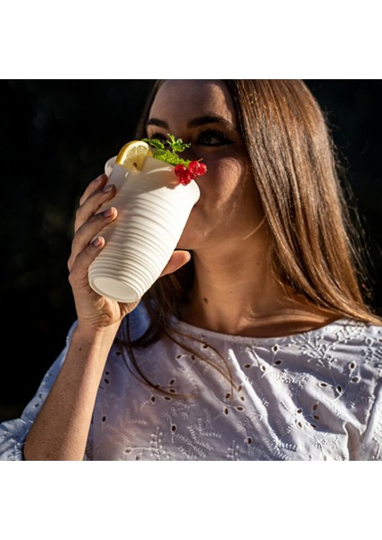 6'lı Guzzini Tierra, 520 Ml