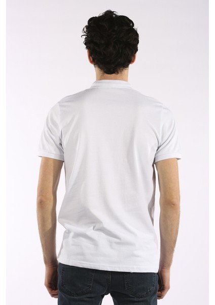 3717 Basic Battal Polo Yaka Erkek Tshirt