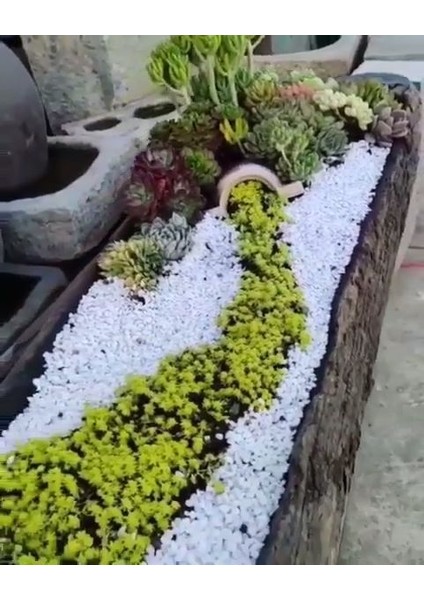 Beyaz Dolomit Taş 50 kg 2-4 cm Dere Çakıl Taşı Bahçe Süs Taşı Saksı Teraryum Taşı Akvaryum Taşı modelleri