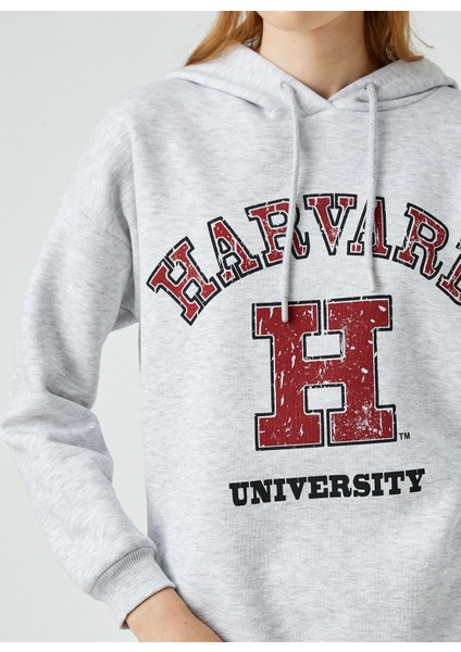 Oversize Kolej Sweatshirt Kapüşonlu Baskılı Harvard Lisanslı