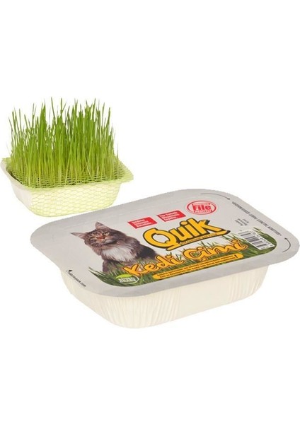 Doğal Kedi Çimi Fileli