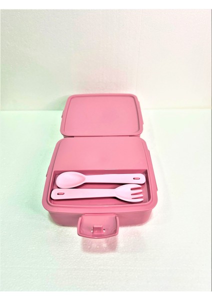 Resimli Beslenme Kutusu modelleri