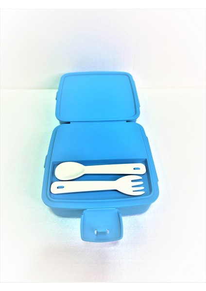 Resimli Beslenme Kutusu modelleri