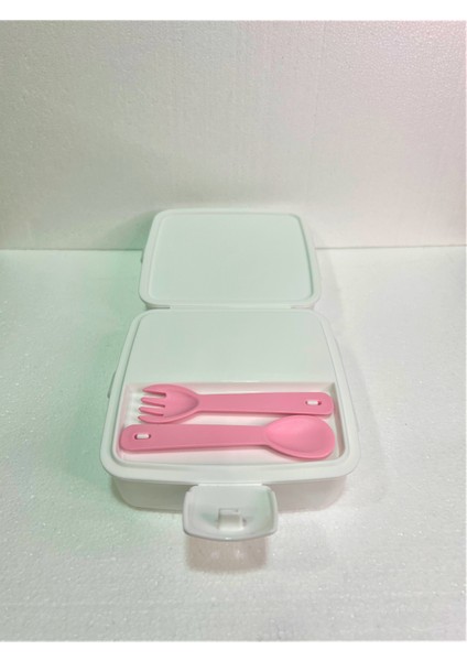 Resimli Beslenme Kutusu modelleri