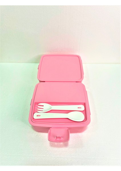 Resimli Beslenme Kutusu modelleri