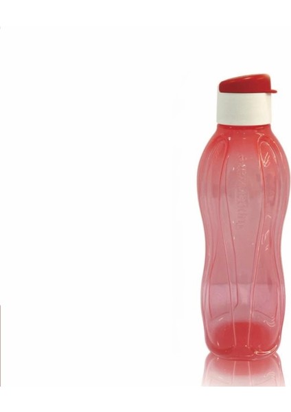 Eco Şişe Suluk Kolay KAPAK750 ml Parıltı