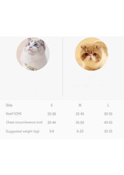 Dantel Kedi Koşum Kedi Tasması modelleri