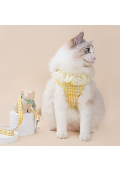 Dantel Kedi Koşum Kedi Tasması indirimleri