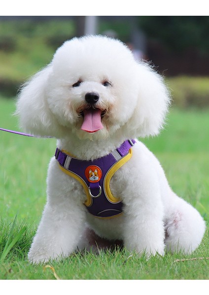 Pet Yansıtıcı Göğüs Kemeri Tasma Köpek Tasması indirimleri