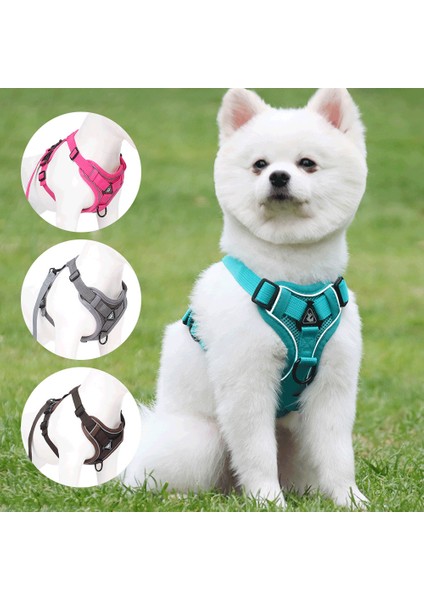 Yansıtıcı Yelek Evcil Hayvan Tasması fiyatları