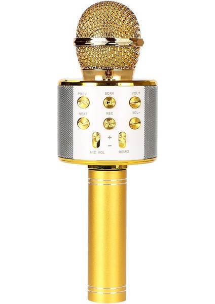 Kız Erkek Için Doğum Günü Bluetooth Kablosuz Karaoke Mikrofonu (Yurt Dışından)