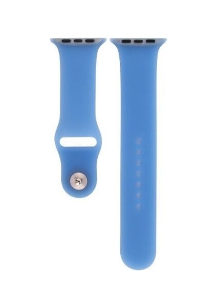 Apple Watch Seri (Tüm Seriler) 38-40-41 mm Uyumlu Transparan Silikon Kordon Koyu Mavi