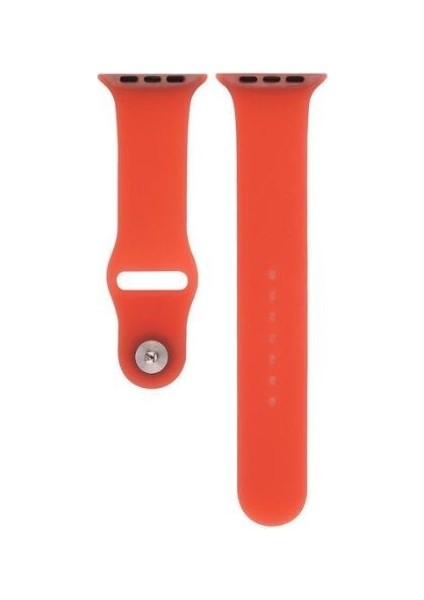Apple Watch Seri (Tüm Seriler) 38-40-41 mm Uyumlu Transparan Silikon Kordon Kırmızı