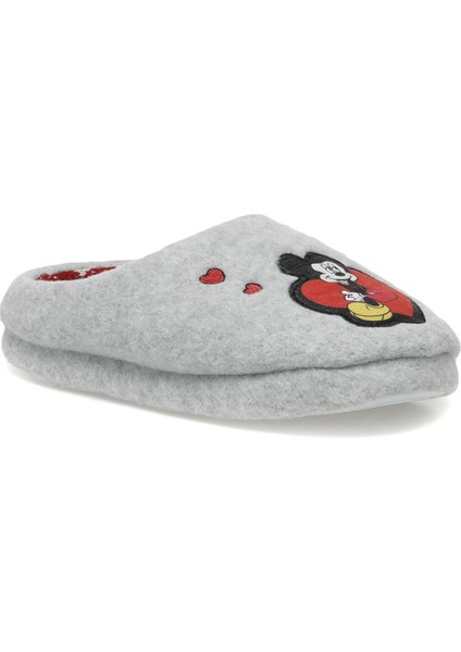 603102.Z2PR Gri Kadın Panduf