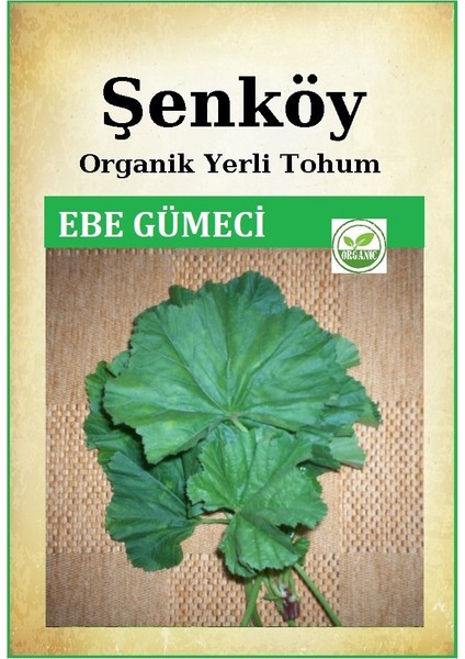 Yerli Ebe Gümeci Tohumu Doğal Ata Ebegümeci Tohumu Pakette 5 gr + Hediye Sebze Tohumu