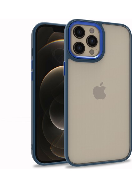 Apple iPhone 12 Pro Max Kılıf Silikon Kenarlı Renkli Arkası Şeffaf Flora Kapak