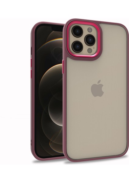 Apple iPhone 12 Pro Max Kılıf Silikon Kenarlı Renkli Arkası Şeffaf Flora Kapak