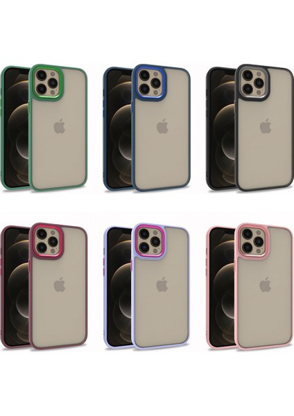Apple iPhone 12 Pro Max Kılıf Silikon Kenarlı Renkli Arkası Şeffaf Flora Kapak