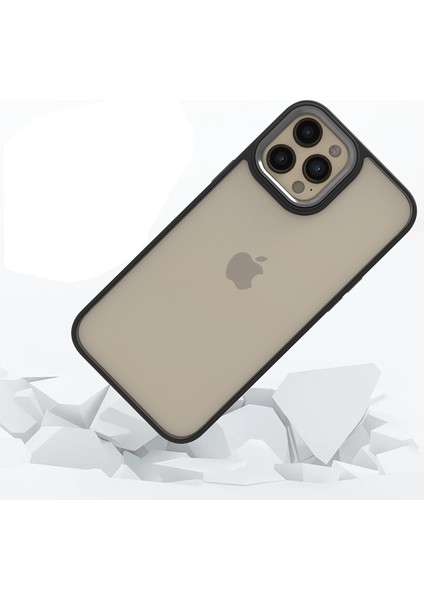Apple iPhone 12 Pro Max Kılıf Silikon Kenarlı Renkli Arkası Şeffaf Flora Kapak