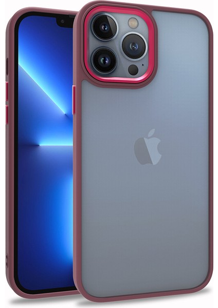 Apple iPhone 13 Pro Max Kılıf Silikon Kenarlı Renkli Flora Kapak