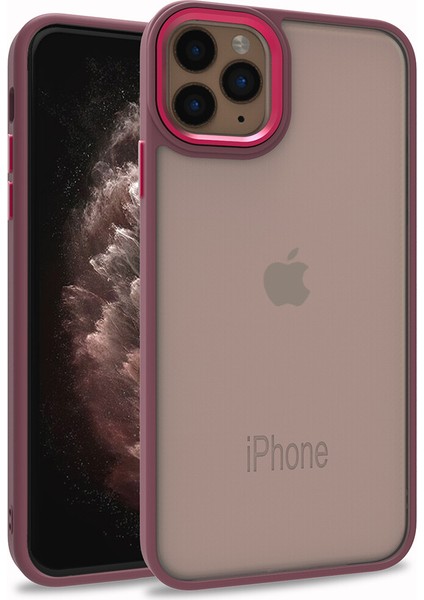 Apple iPhone 11 Pro Max Kılıf Silikon Kenarlı Arkası Şeffa Renkli Flora Sert Kapak