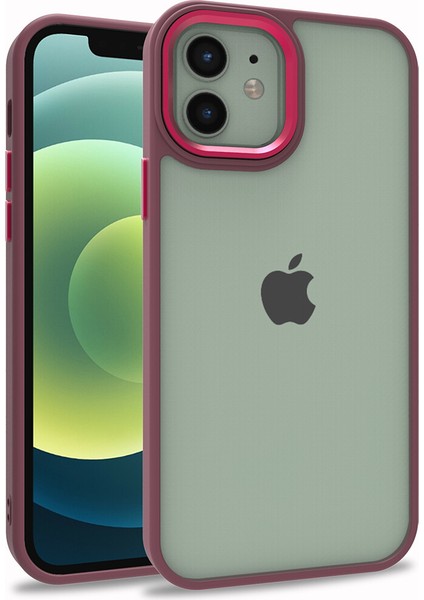 Apple iPhone 12 Kılıf Silikon Kenarlı Arkası Şeffa Renkli Flora Sert Kapak