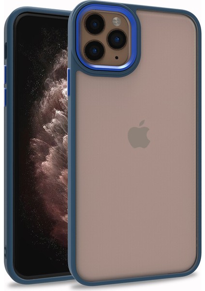 Apple iPhone 11 Pro Max Kılıf Silikon Kenarlı Arkası Şeffa Renkli Flora Sert Kapak
