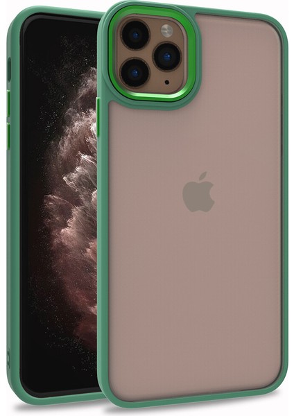 Apple iPhone 11 Pro Max Kılıf Silikon Kenarlı Arkası Şeffa Renkli Flora Sert Kapak