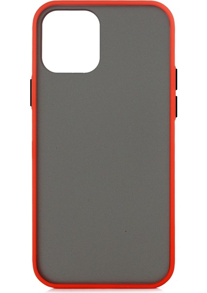 Apple Iphone 12 Mini Kılıf Renkli Silikon Kenarlı Buzlu Fri Kapak