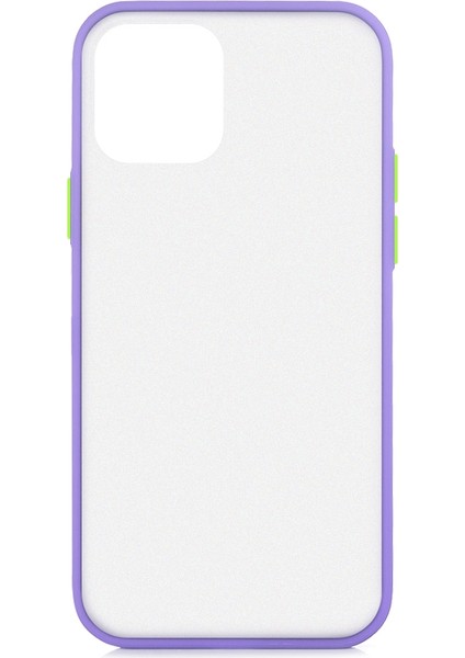 Apple iPhone 12 Mini Kılıf Renkli Silikon Kenarlı Buzlu Fri Kapak