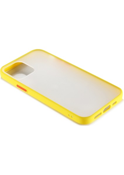 Apple iPhone 12 Mini Kılıf Renkli Silikon Kenarlı Buzlu Fri Kapak