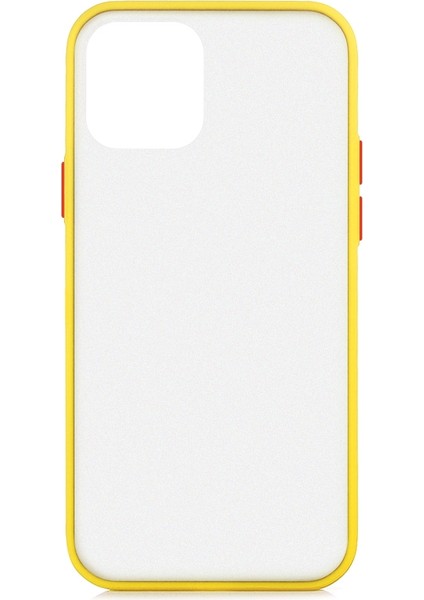 Apple iPhone 12 Mini Kılıf Renkli Silikon Kenarlı Buzlu Fri Kapak